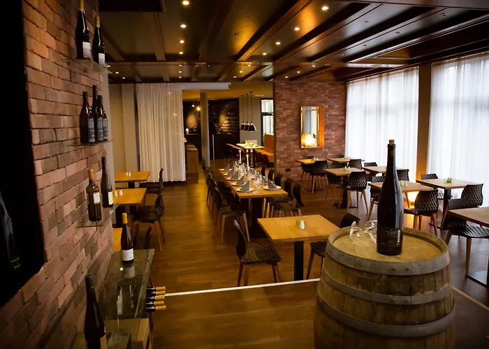 מלון Rheinhessen Gmbh 3*